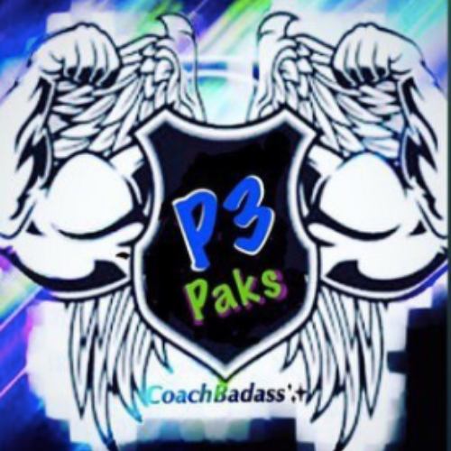 P3 Logo 1